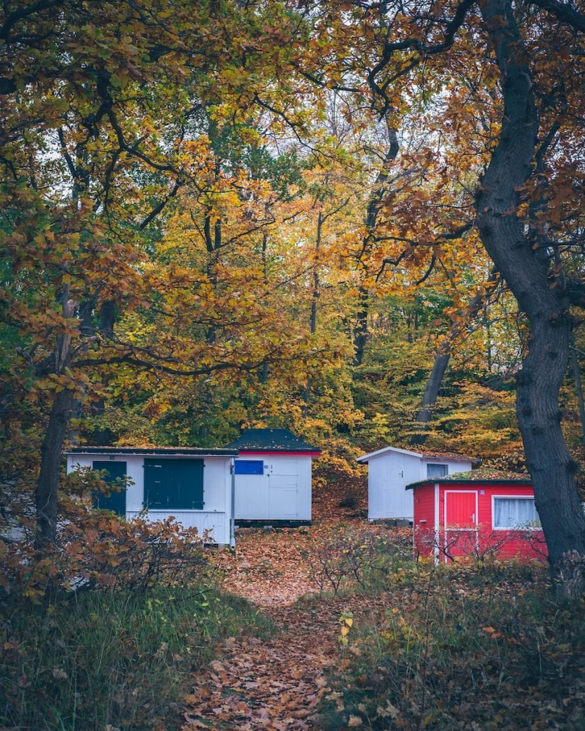 a couple of white buildings in a forest